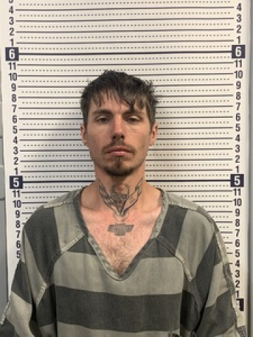 Mugshot of STEELE IPOCK