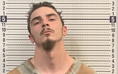 Mugshot of WESLEY HULSEY
