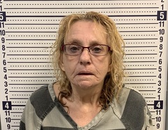 Mugshot of LESSIE BRITT