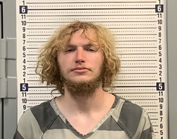 Mugshot of TYLER DAVIS