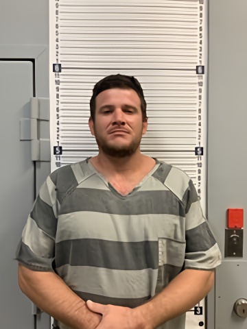 Mugshot of ERIC JOHNSON