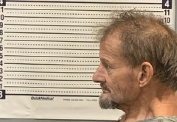 Mugshot of JAMES PAGE