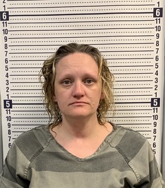 Mugshot of LORIN NHONGVONGSITHI
