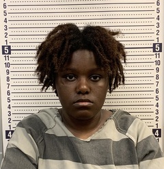 Mugshot of ATIYANA WILLIS