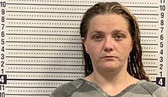 Mugshot of MEGAN FIELDS