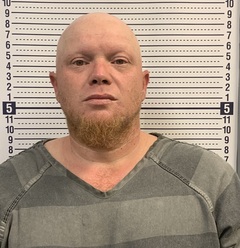 Mugshot of ROBERT GREEN