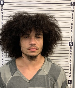 Mugshot of ADRIAN DRIVER