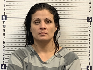 Mugshot of PAULA LOAR-WHITAKER