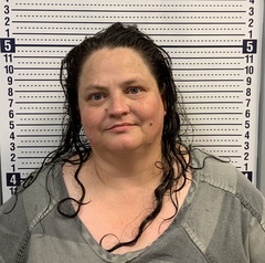 Mugshot of CHRISTINE EFFINGER