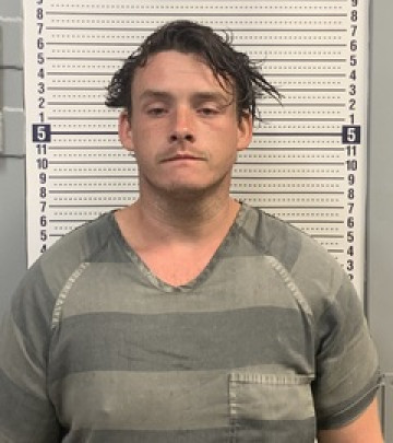 Mugshot of WAYDEN SIMMONS