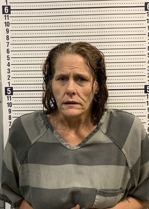 Mugshot of VIRGINIA RUSSELL