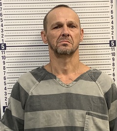 Mugshot of DENNIS MADISON