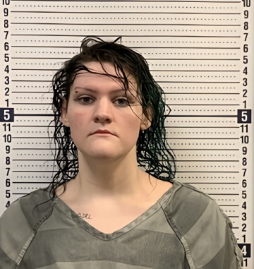 Mugshot of ALLISON HOFFMAN