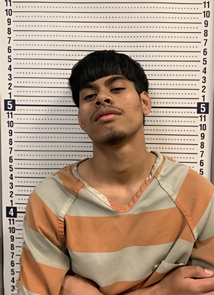 Mugshot of WALTER LEMJEIK
