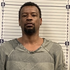 Mugshot of DELAIN WASHINGTON