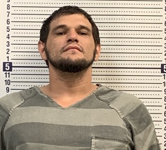 Mugshot of ROBERT SANDERS