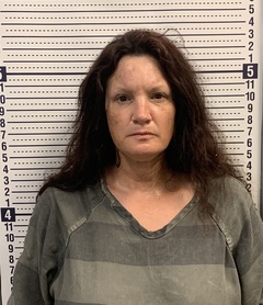 Mugshot of KAYLA ELLINGSTON