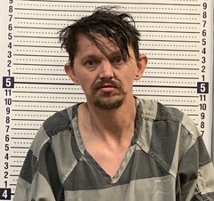 Mugshot of BRIAN RAY