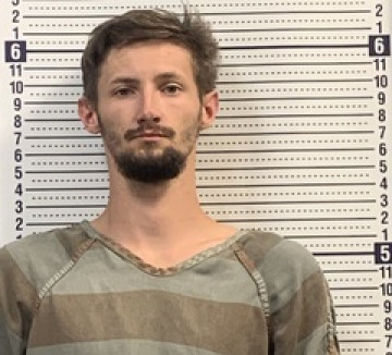 Mugshot of DONALD SCAGGS