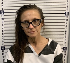 Mugshot of JESSICA WILSON
