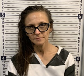 Mugshot of JESSICA WILSON