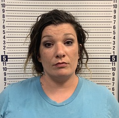 Mugshot of DESTINY ADAMS-FLETCHER