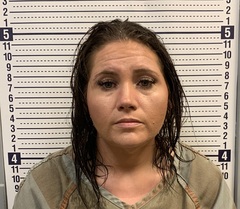 Mugshot of FELISHA CANARSKY