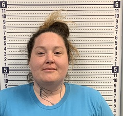 Mugshot of SHELBY HOSKINS