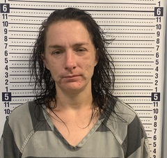 Mugshot of ALICIA ROBBINS