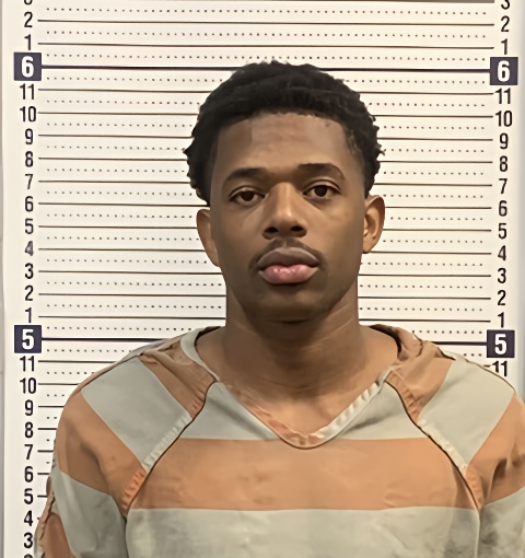 Mugshot of LERVAE WILLIAMS