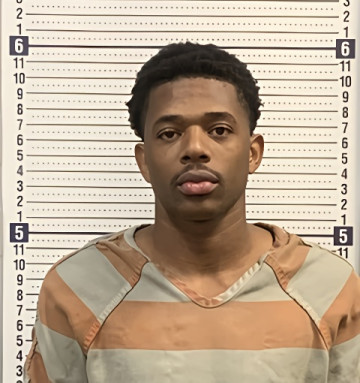 Mugshot of LERVAE WILLIAMS