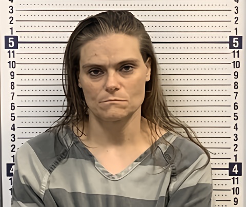 Mugshot of ELIZABETH MORGAN