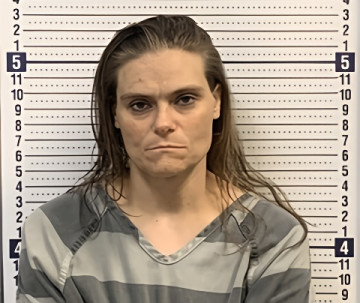 Mugshot of ELIZABETH MORGAN