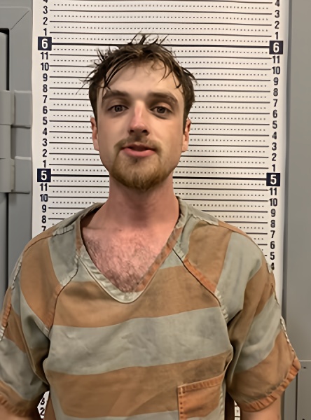Mugshot of SEAN BROWN