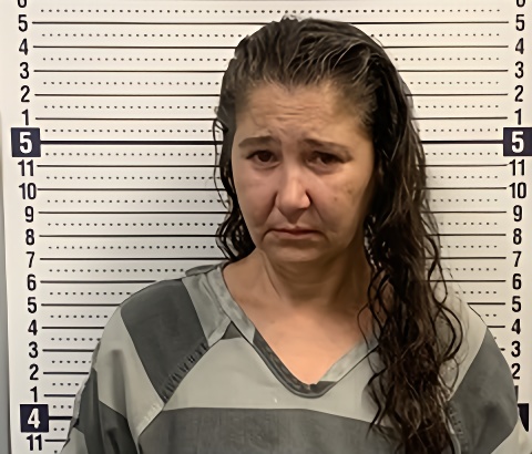 Mugshot of AMANDA WILLIFORD