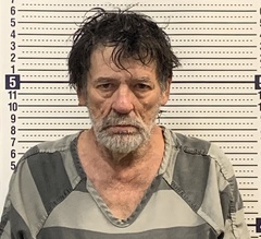 Mugshot of GARY KING