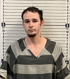 Mugshot of CHRISTIAN JOHNSON