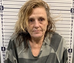 Mugshot of LISA EASLEY