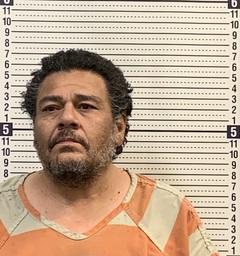 Mugshot of STEVEN LAWRENCE