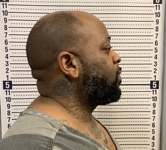 Mugshot of HERMAN CLEMONS