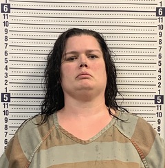Mugshot of TIFFANY MILLS