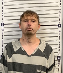 Mugshot of DALTON DEES