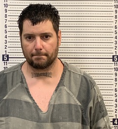 Mugshot of DAVID STONE