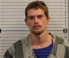 Mugshot of REESE WILSON