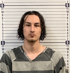Mugshot of LUIS THIGPEN