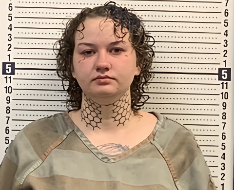 Mugshot of ANNA WILKINSON