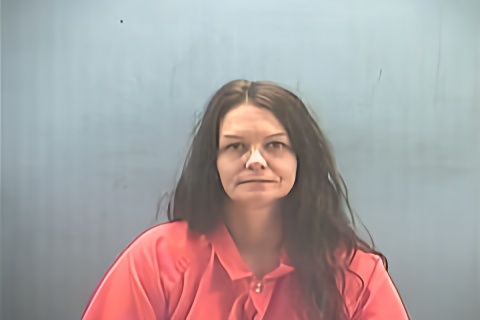 Mugshot of AMANDA ATKINS