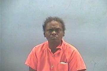 Mugshot of LYNN ROCHELLE WILLIAMS