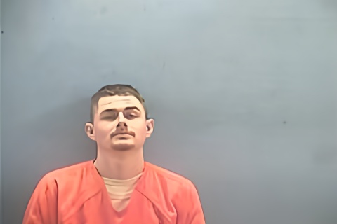 Mugshot of SEAN MICHEAL II BRADSHAW
