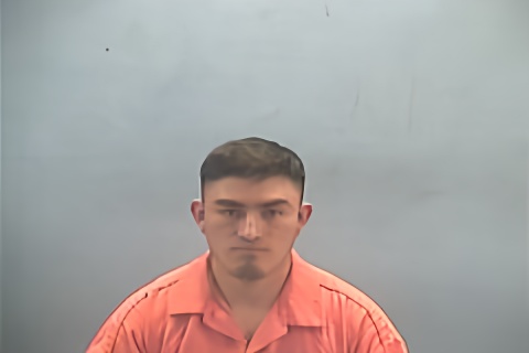 Mugshot of YESTER OMAR MATEO- MEJIA